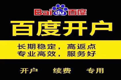百度SEO推广策略调整：一个成功的调整案例